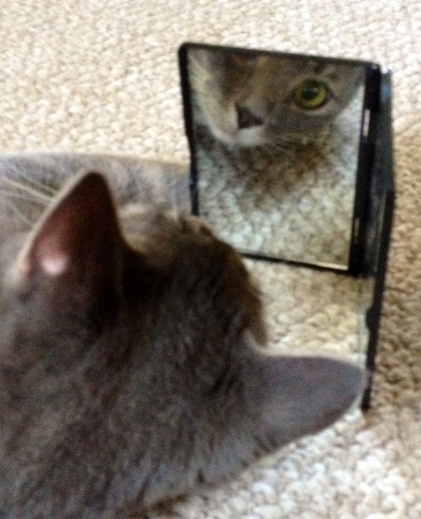 bonnie mirror